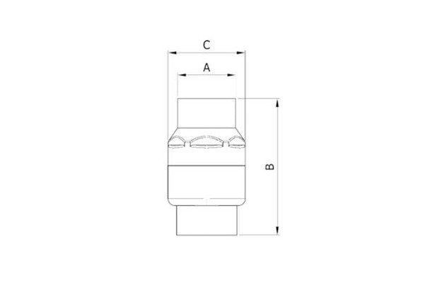 Válvula retenção Cromax inox AISI 316
