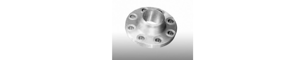 Flanges Welding Neck 150 Lb inox
