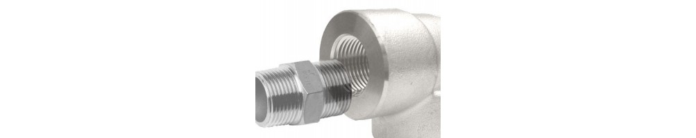 Acessórios roscados NPT 3000 Lb aço inox